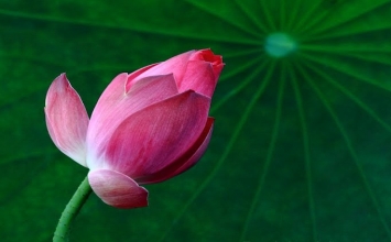 Dạy trẻ biết cho đi